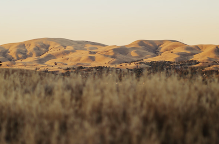 Golden-hour view over oak-studded serrano hills toward folsom lake and distant sierra